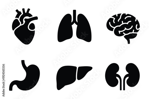 Human organs icons, set of body parts for medical illustration