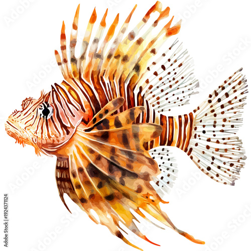 Lionfish, watercolor drawing vector, isolated on a white background.