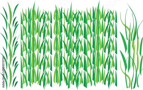 A vibrant illustration depicts a dense collection of green grass blades varying in length and shape creating a textured field