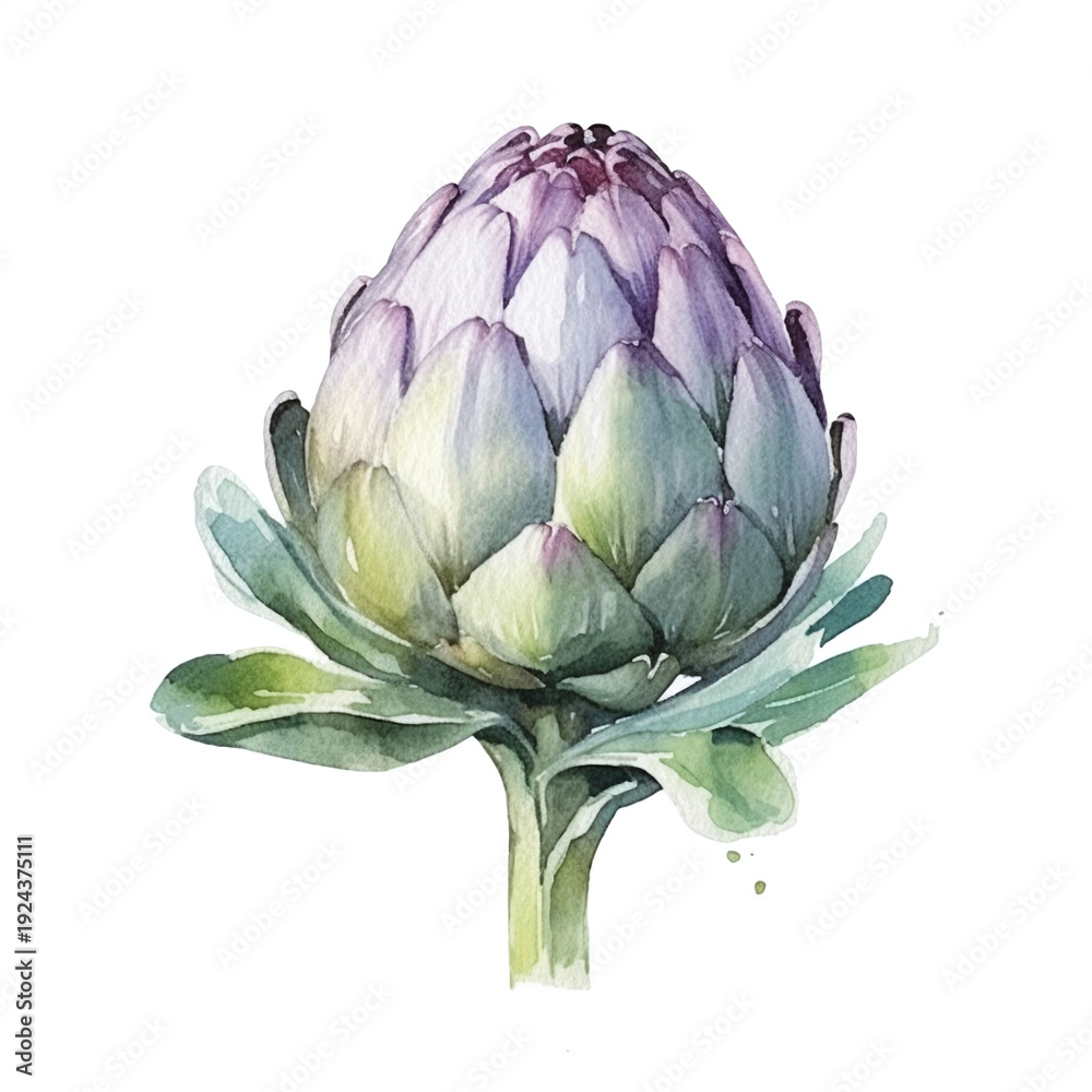 Obraz premium Watercolor painting of a fresh artichoke with purple and green leaves isolated on a white background