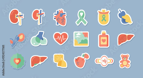 Illustrated icons representing various human organs and medical awareness symbols isolated on transparent background, Vector
