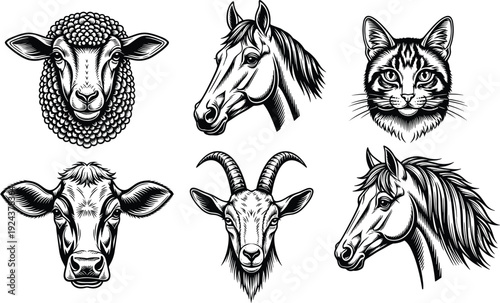 Black and white animal head illustrations featuring sheep, horse, cat, cow, goat, detailed stylized artwork symbolizing domesticated animals, nature, education, and artistic design