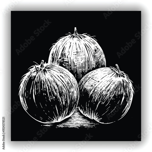 Three mature coconuts are the main subjects, arranged in a visually appealing cluster. They are positioned against a transparent background. The coconuts are roughly spherical, with a deep brown, fibr