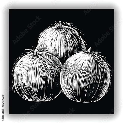 Three mature coconuts are the main subjects, arranged in a visually appealing cluster. They are positioned against a transparent background. The coconuts are roughly spherical, with a deep brown, fibr