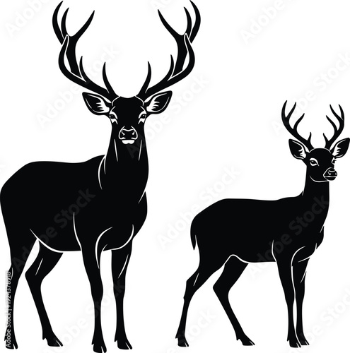 Two male deer silhouettes with antlers, wildlife illustration showing size variation, black nature artwork symbolizing strength, wilderness, animal diversity, and forest habitat design