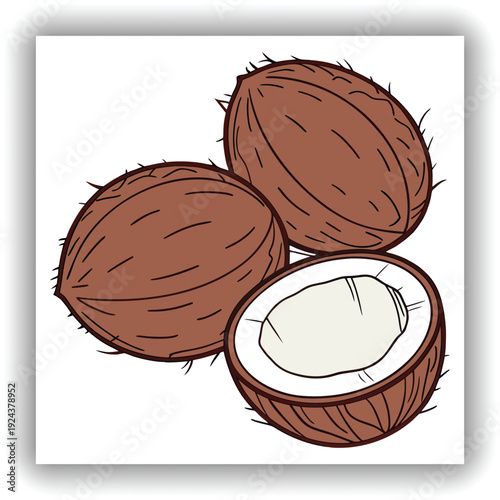 Three mature coconuts are the main subjects, arranged in a visually appealing cluster. They are positioned against a transparent background. The coconuts are roughly spherical, with a deep brown, fibr