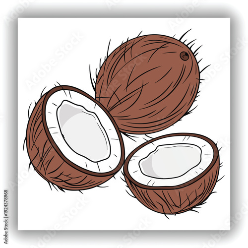 Three mature coconuts are the main subjects, arranged in a visually appealing cluster. They are positioned against a transparent background. The coconuts are roughly spherical, with a deep brown, fibr
