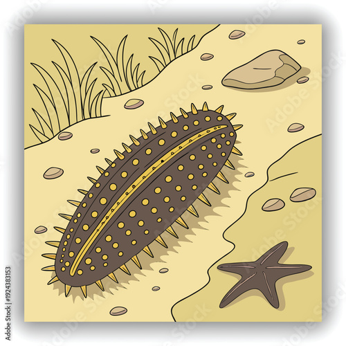 A close-up, eye-level shot presents a sea cucumber resting on a sandy beach at the water's edge. The sea cucumber, the main subject, is oblong-shaped and has a textured exterior, covered in small, clo