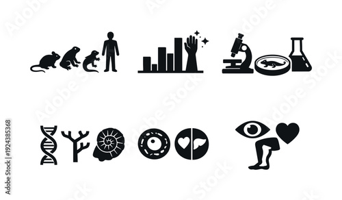 Solid style icons of comparative regenerative studies: cross-species silhouettes, regeneration capability chart, experimental