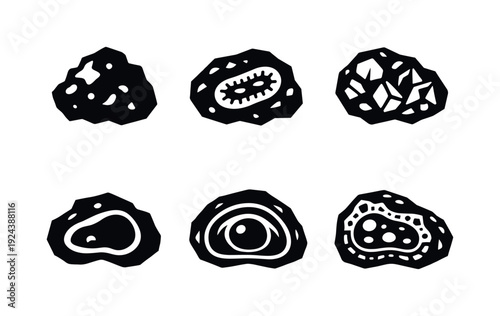 Meteorite Icon Set. Solid style icons of life-bearing meteorites: rocky fragment, embedded microfossil shape, mineral matrix