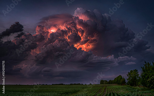 Canvas-taulu Intense thunderstorm with lightning illuminating massive cumulonimbus clouds above agricultural field