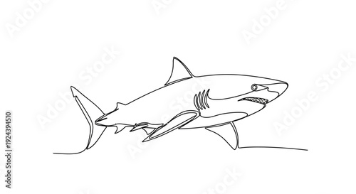 Great White Shark Swimming in Ocean, Line Art Illustration