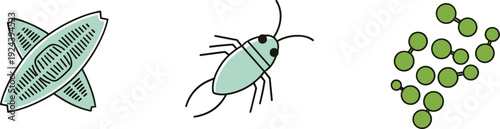 Simple illustrations of microscopic organisms and a small insect on a white background