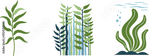 Collection of stylized green aquatic plants and underwater flora illustrations
