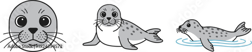 Cute cartoon seals in different poses, head, body, and swimming