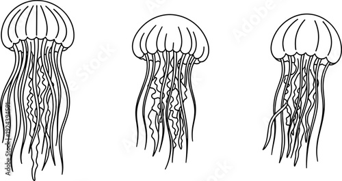 Three simple line art jellyfish illustrations floating gracefully in a white background