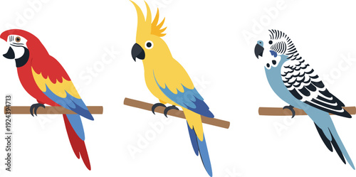 Three colorful parrots, a macaw, a cockatoo, and a budgie, perched on branches