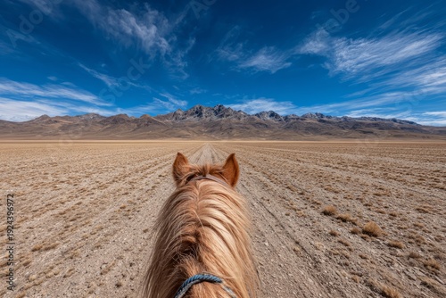 Wallpaper Mural Professional Rider Pausing on Horse in Vast Desert Landscape Under Sky Torontodigital.ca