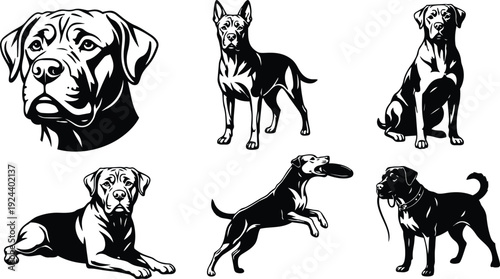 Line art detailed dog head and six body poses including standing sitting lying jumping fetching with frisbee for pet branding