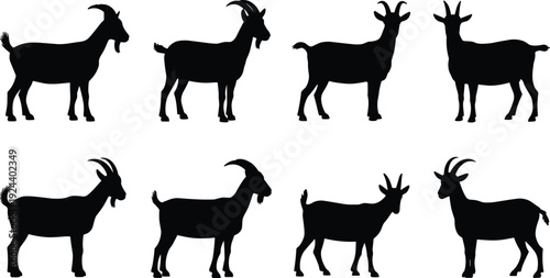 Goat silhouettes collection isolated on white background, farm animals in different standing poses livestock vector illustration set