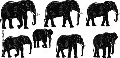 Elephant silhouette vector set, detailed black African elephant illustrations isolated on white background for wildlife design