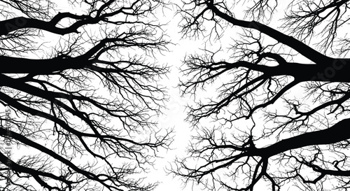 Bare tree branches silhouettes set, intricate forest canopy isolated on white background nature vector illustration collection