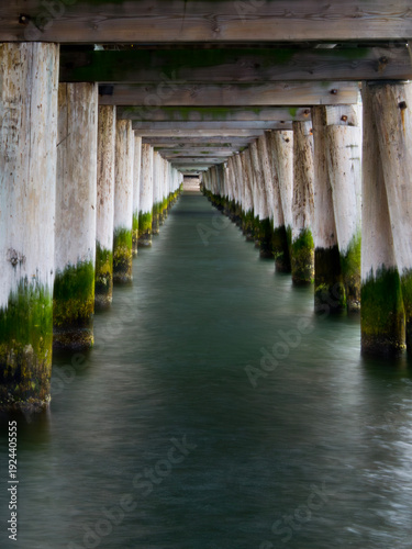 Symmetrical perspective under a wooden pier, long exposure with blurred water, green moss on pillars