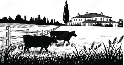 Pastoral farm landscape, cows grazing, rural countryside, farmhouse, wooden fence, wheat field, agriculture, live