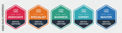 Certified shield badge collection, company training certificate logos, quality assurance seals, colorful security emblem vector bundle.