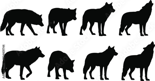 Wolf silhouette collection, black vector poses, wild animal stances, nature design elements, howling and walking wolves, wildlife illustration set