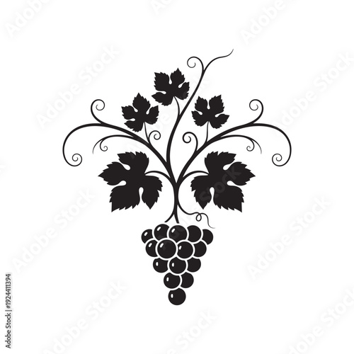 Minimalist Grape Vine Leaf Black Silhouette