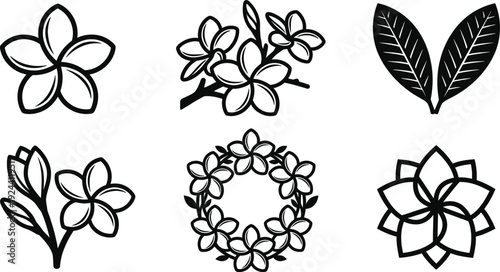 Plumeria frangipani flower line art icon set
