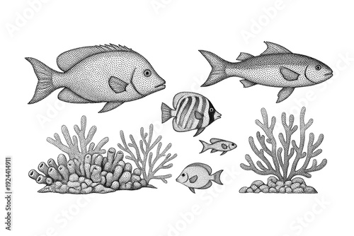 Collection of diverse fish and coral reef elements rendered in stippling technique