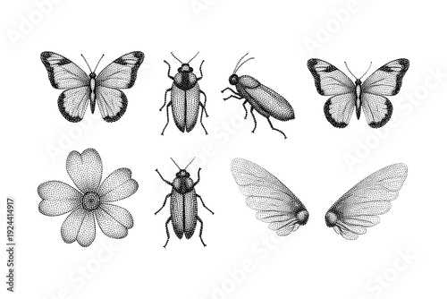 Collection of stippled insects and a flower, including butterflies, beetles, and wings