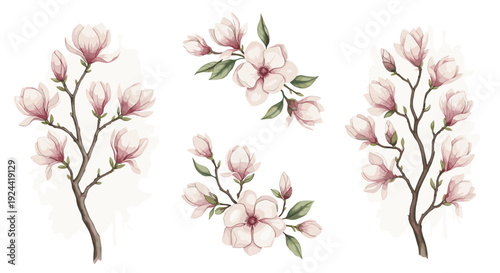 Delicate watercolor magnolia branches with blooming flowers and buds on a soft background