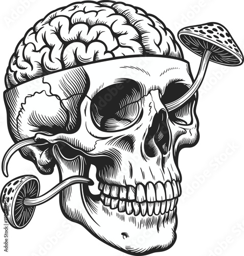 Surreal skull with exposed brain and mushrooms, vintage engraving style dark gothic vector illustration
