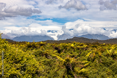 Native vegetation with snow capped Southern Alps in New Zealand