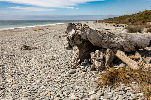 Driftwood on a remote pebble beach in South Island, New Zealand