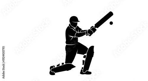 Cricket Player Silhouette Batting