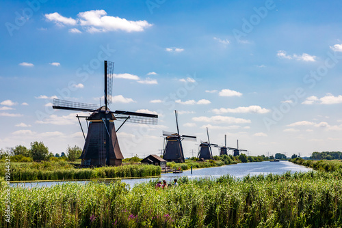 Row of traditional windmills along a canal at Kinderdijk, Netherlands, with reeds and blue sky in a classic view of the UNESCO World Heritage landscape