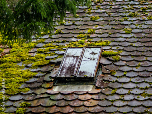 Stark bemoostes Dach mit Dachluke