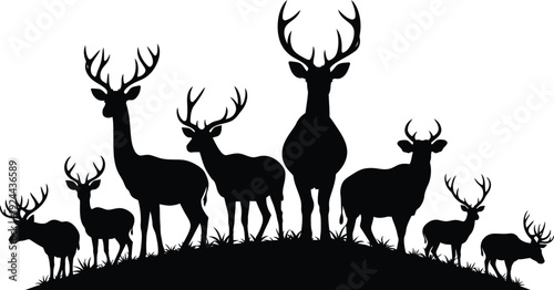 Silhouette of deer on a hill