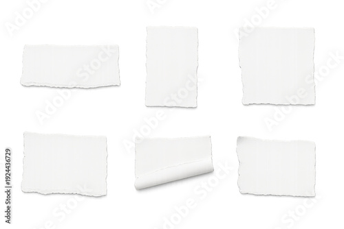 Wallpaper Mural Six torn white paper scraps with uneven edges and one curled corner, arranged isolated on a transparent background Torontodigital.ca