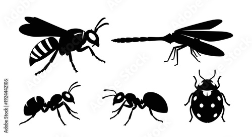 Diverse Insect Silhouettes Collection: Wasp, Mosquito, Ant, Ladybug Vector Icons Set