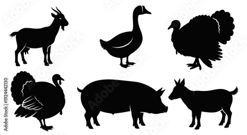 Domestic Farm Animal Silhouettes Collection Isolated on White Background