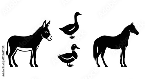 Farm and domestic animal silhouettes: donkey, horse, goose, and duck on white background