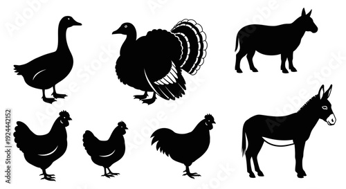 Farm Animal Silhouettes Collection - Goose, Turkey, Donkey, Chicken Vector Icons