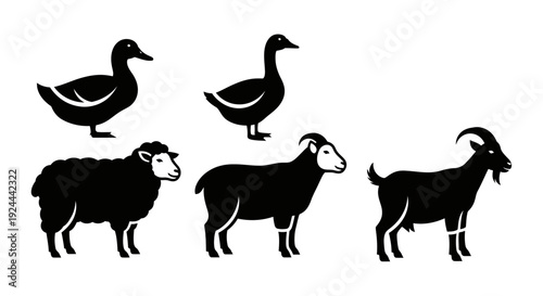 Farm Animals Silhouettes Set: Duck, Goose, Sheep, and Goats Icons