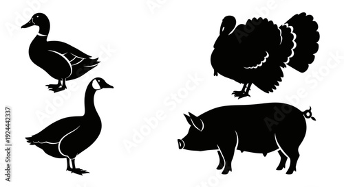 Farm Animals Silhouettes Set: Duck, Goose, Turkey, and Pig Icons