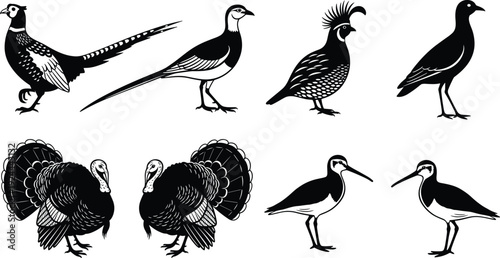 Vector Silhouette Collection of Game Birds and Shorebirds Including Wild Turkeys Pheasants Quail and Snipes Isolated on a White Background for Design